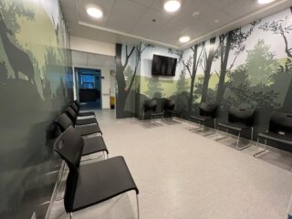 Phase 2 du département de pédiatrie de l'hôpital de Sorel-Tracy. De magnifique murale pour habiller leur locaux.